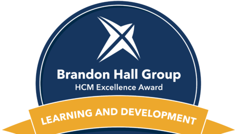 Brandon Hall Gold Award image